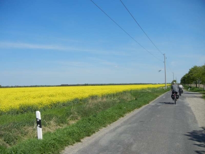 Radweg Herzberg-Vielitz1814_03
