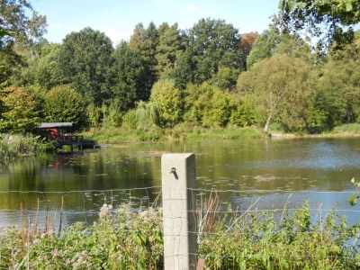 Radweg nach Lindow_11