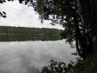 Möllensee bei Lindow10.13_05