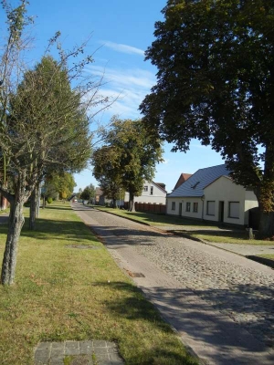 Vielitz_03