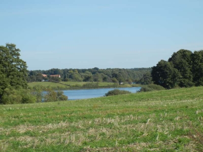 Vielitzsee Vielitz_02