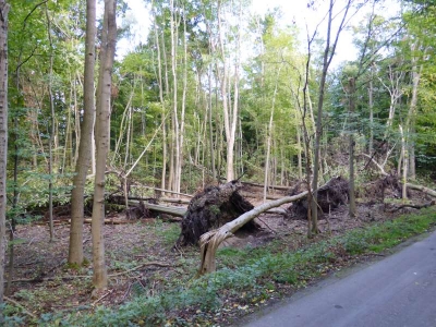 Radweg Liebenberg-Sachsenhausen10.13_02