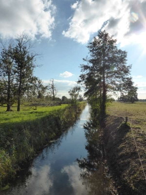 Radweg Liebenberg-Sachsenhausen10.13_05