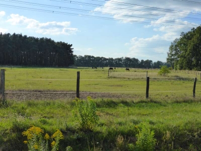 Radweg Liebenberg-Sachsenhausen10.13_07