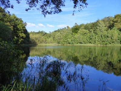 Großer Lankesee bei Liebenberg10.13_08