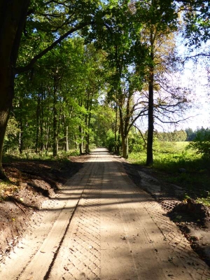 Radweg Löwenberg- Liebenberg10.13_22