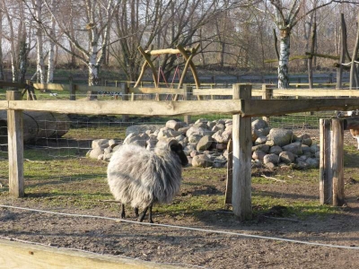 Spargelhof Kremmen 715_13