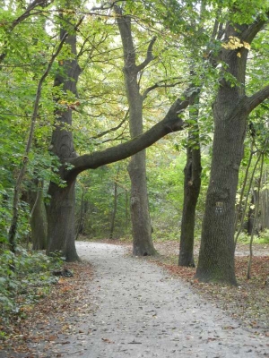 Lehnitzsee_06