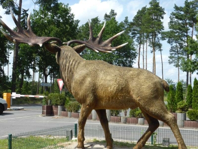 Tierpark Germendorf Oranienburg 2716_20