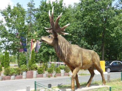 Tierpark Germendorf Oranienburg 2716_21