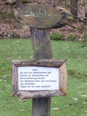 Naturlehrpfad Briesetal Birkenwerder11.13_35