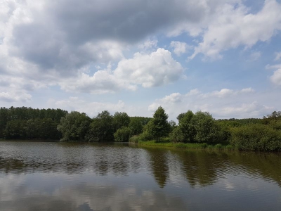 Mühlensee Schwante 2117_05