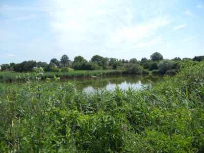 Mühlensee Vehlefanz