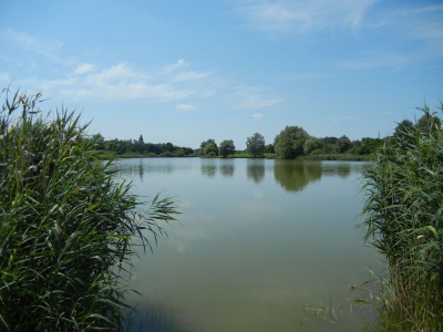 Mühlensee Vehlefanz_04