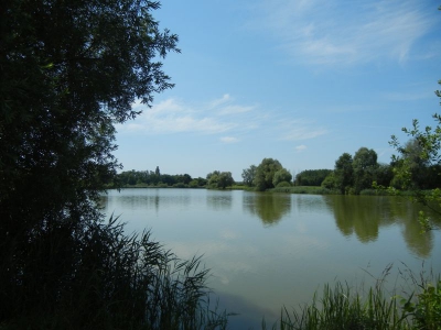 Mühlensee Vehlefanz_06