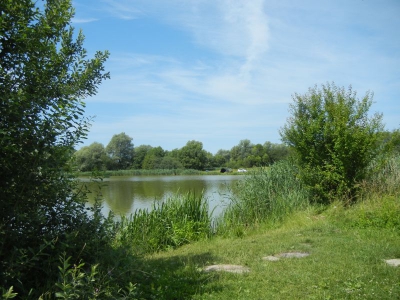 Mühlensee Vehlefanz_07
