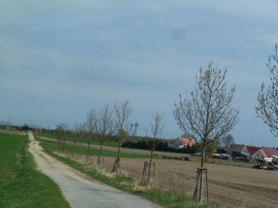 Radweg Prenzlau-Pasewalk_06