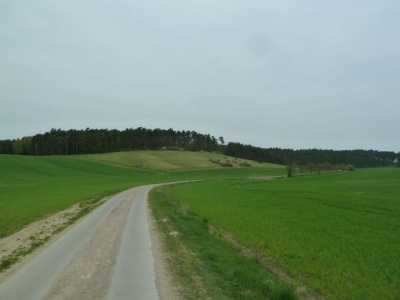 Radweg Stegelitz-Prenzlau_13