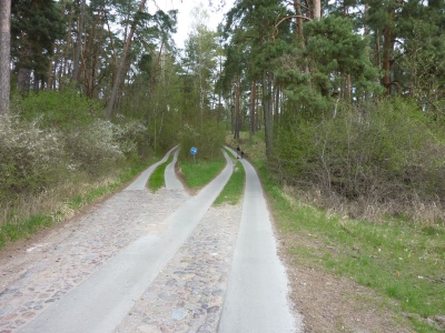 Radweg Stegelitz-Prenzlau_15
