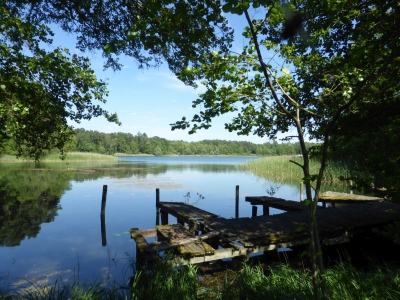 Großer Wukensee 2317_10