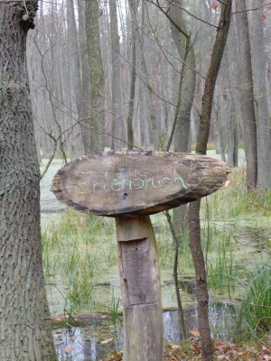 Naturlehrpfad Briesetal Birkenwerder11.13_31