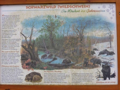 Naturlehrpfad Briesetal Birkenwerder11.13_34