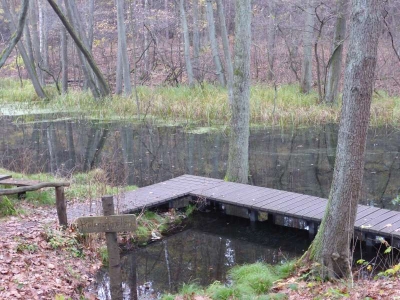 Naturlehrpfad Briesetal Birkenwerder11.13_38