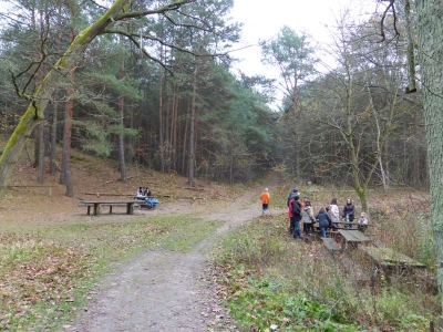 Naturlehrpfad Briesetal Birkenwerder11.13_46