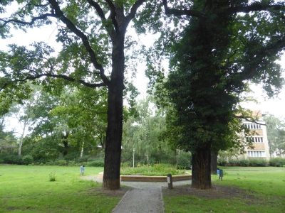 Großsiedlung Siemensstadt 2917_13