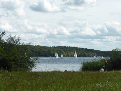 Uferradweg Gatow-Kladow 3117_10
