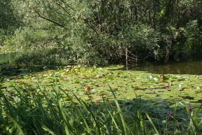 Im Südpark Spandau_07