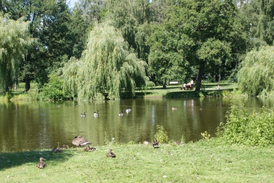 Im Südpark Spandau_11