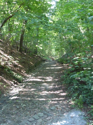 Jaczo Schlucht 3115_08