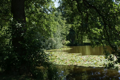 Im Südpark Spandau_20