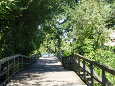 Tiefwerder Wiesen 3115_12