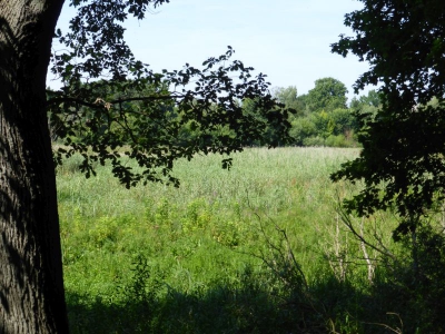 Tiefwerder Wiesen 3115_23