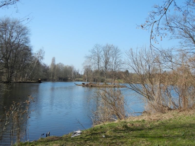 Rohrbruchteich Spandau Berlin_02