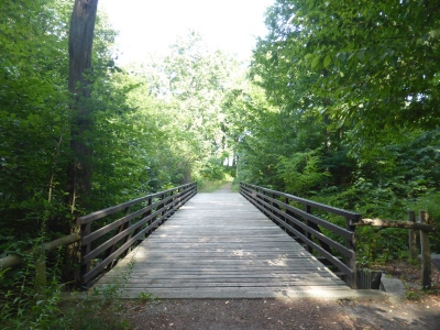 Park Ruhwald Westend 3918_14
