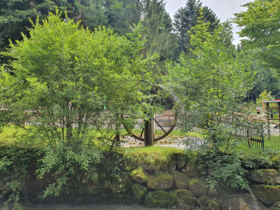 Scheidegger Wasserfälle 2821_05