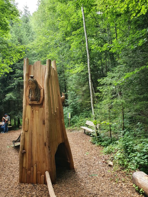 Scheidegger Wasserfälle 2821_36