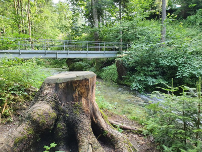 Scheidegger Wasserfälle 2821_66