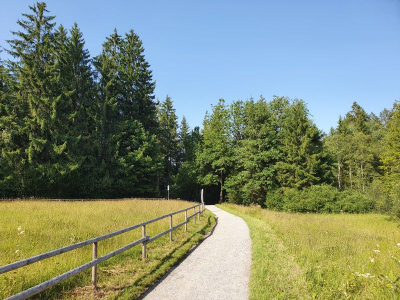 Waldsee Lindenberg 2821_12