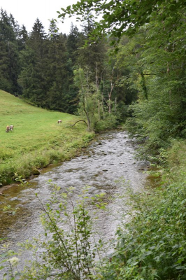 Eistobel 2622_09