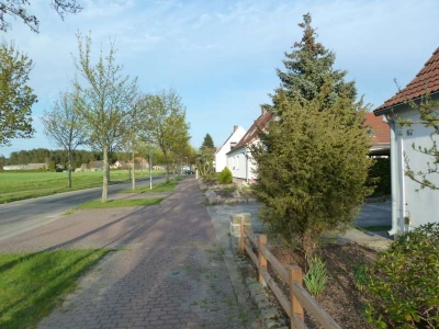 Eggesin_08