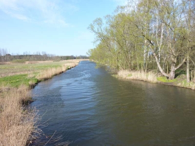 Radweg Pasewalk-Eggesin_03