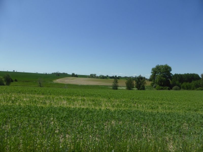 Radweg Krackow-Löcknitz 317_06