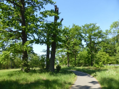 Radweg Löcknitz-Hintersee 317_04