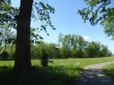 Radweg Löcknitz-Hintersee 317_06