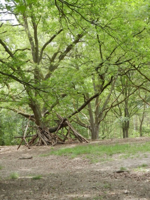 Grunewaldsee_02