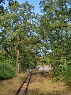 Wuhlheide 3920_02